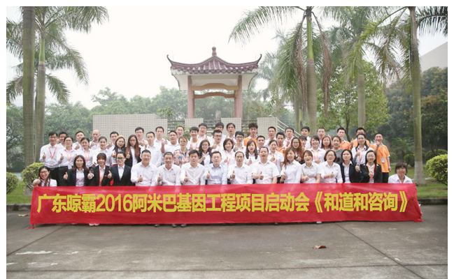 廣東晾霸集團(tuán)導(dǎo)入阿米巴經(jīng)營咨詢項(xiàng)目案例——銷售額增長了四倍多