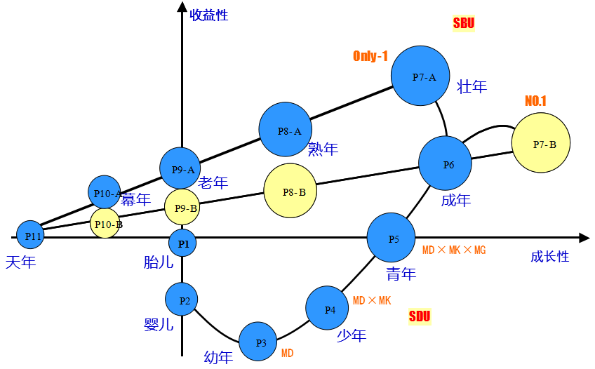 阿米巴的三層業(yè)務(wù)鏈與SBU、SDU