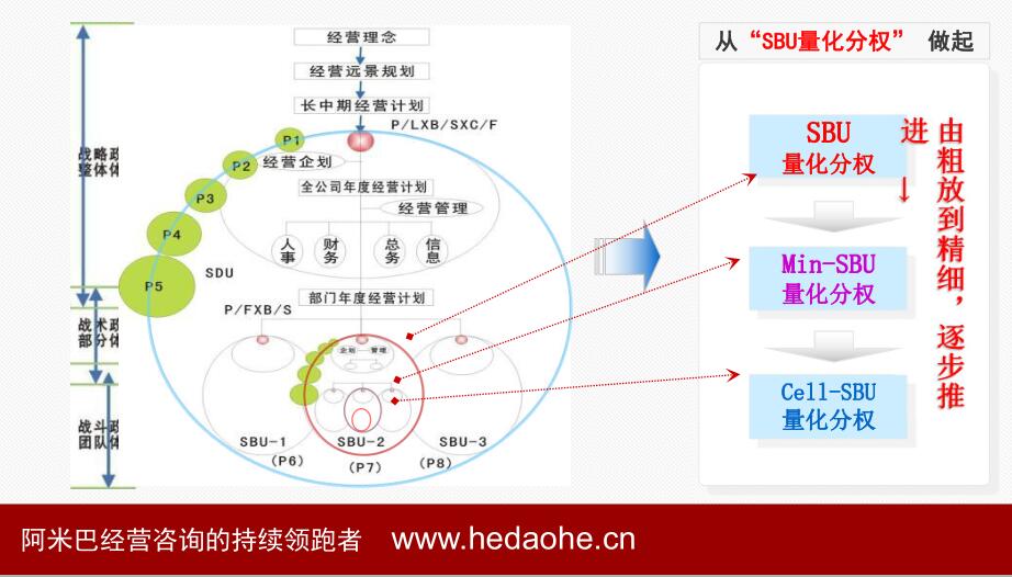 阿米巴組織結(jié)構(gòu)圖