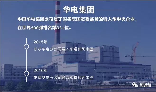 阿米巴